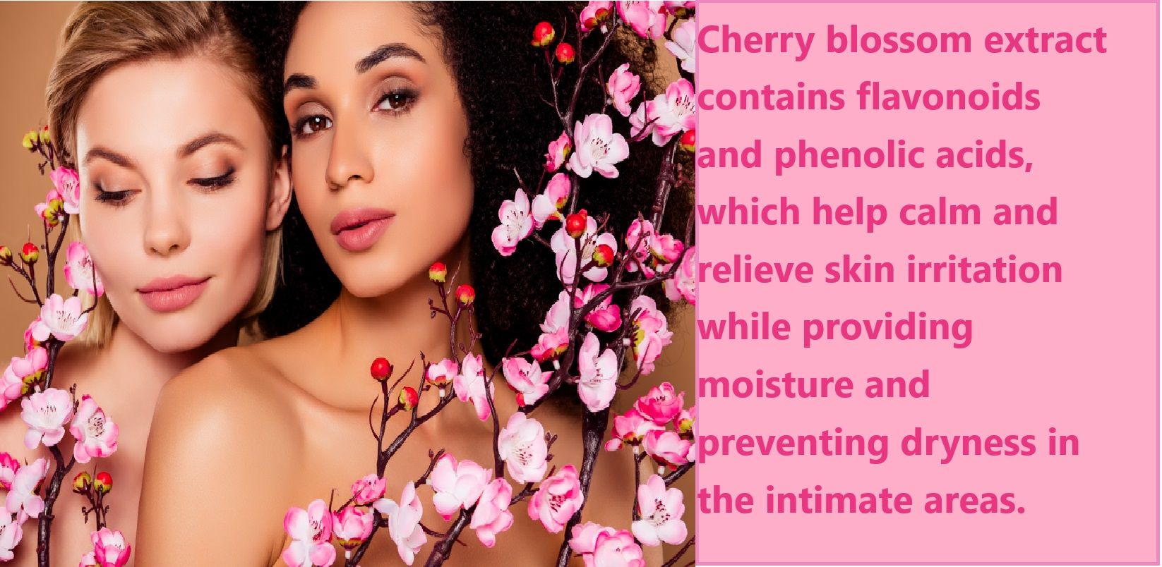 Ekstrak bunga ceri mengandungi flavonoid dan asid fenolik, yang membantu menenangkan dan melegakan kerengsaan kulit sambil memberikan kelembapan dan mencegah kekeringan di kawasan intim.